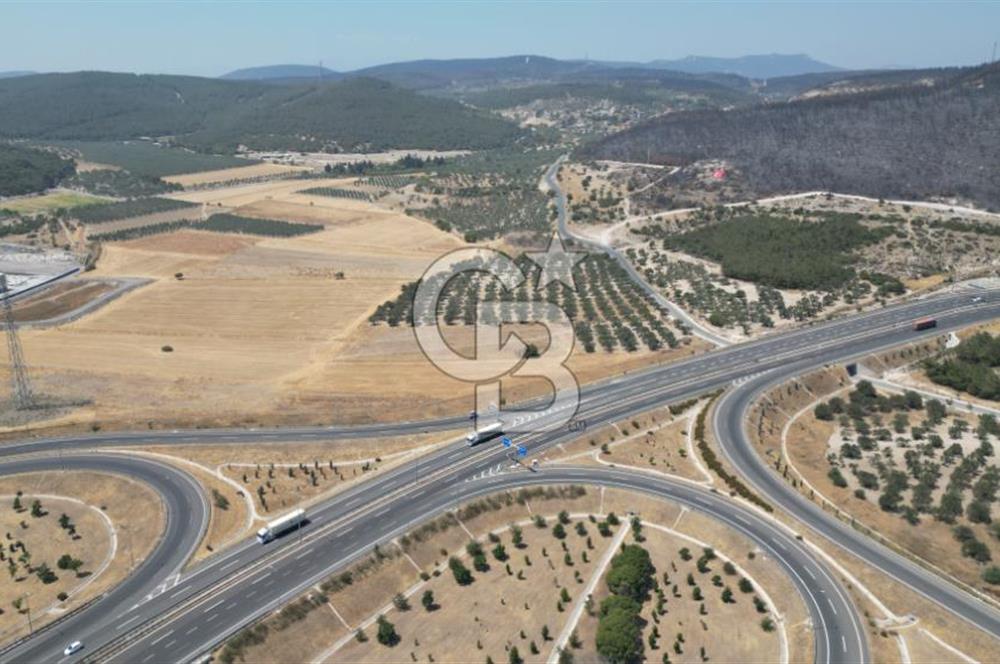 CD'DEN ALİAĞA BOZKÖYDE 3600m2 SATILIK TARLA