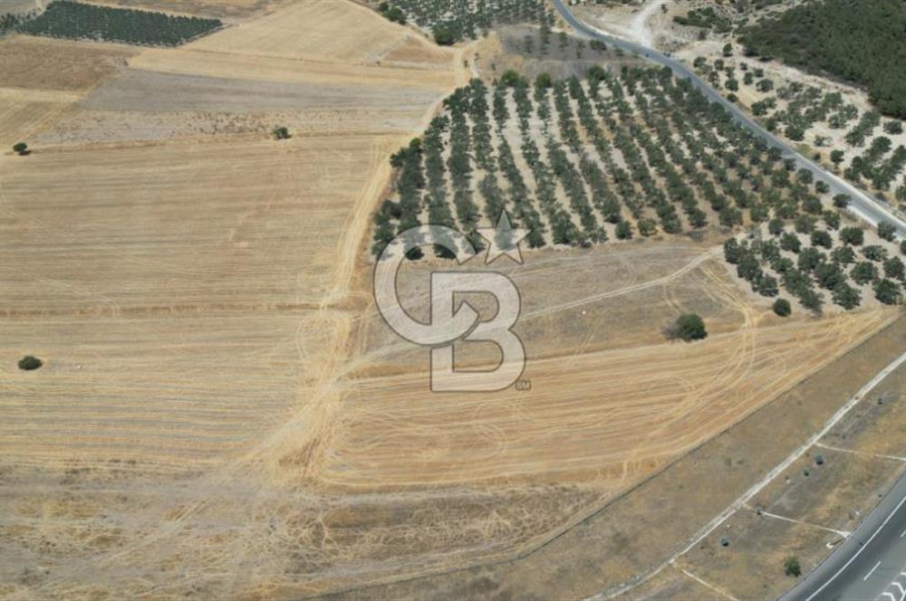 CD'DEN ALİAĞA BOZKÖYDE 3600m2 SATILIK TARLA