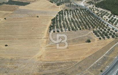CD'DEN ALİAĞA BOZKÖYDE 3600m2 SATILIK TARLA