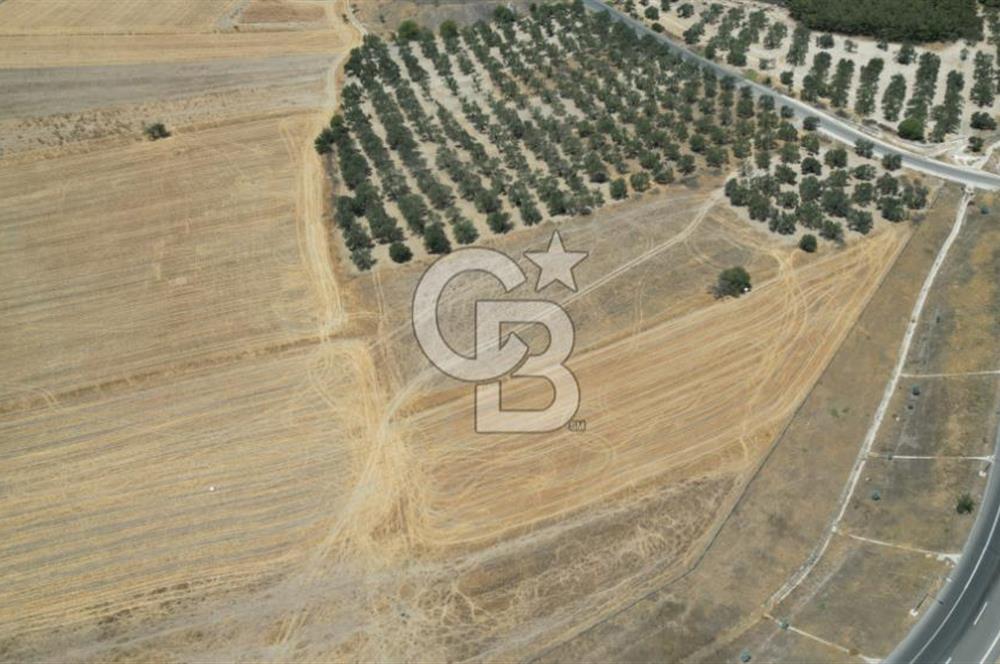 CD'DEN ALİAĞA BOZKÖYDE 3600m2 SATILIK TARLA