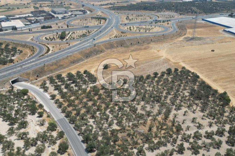 CD'DEN ALİAĞA BOZKÖYDE 3600m2 SATILIK TARLA