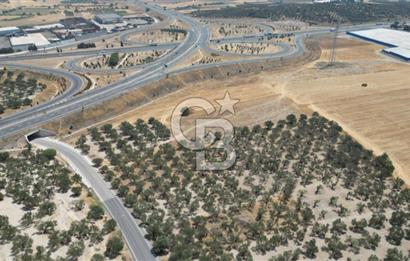 CD'DEN ALİAĞA BOZKÖYDE 3600m2 SATILIK TARLA