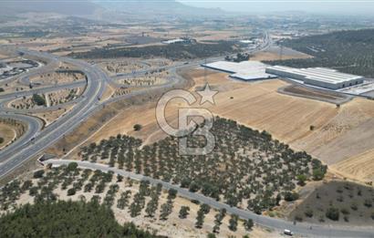 CD'DEN ALİAĞA BOZKÖYDE 3600m2 SATILIK TARLA