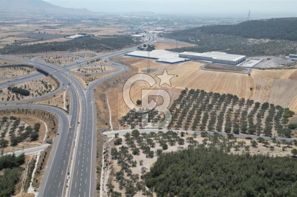 CD'DEN ALİAĞA BOZKÖYDE 3600m2 SATILIK TARLA