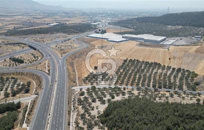 CD'DEN ALİAĞA BOZKÖYDE 3600m2 SATILIK TARLA