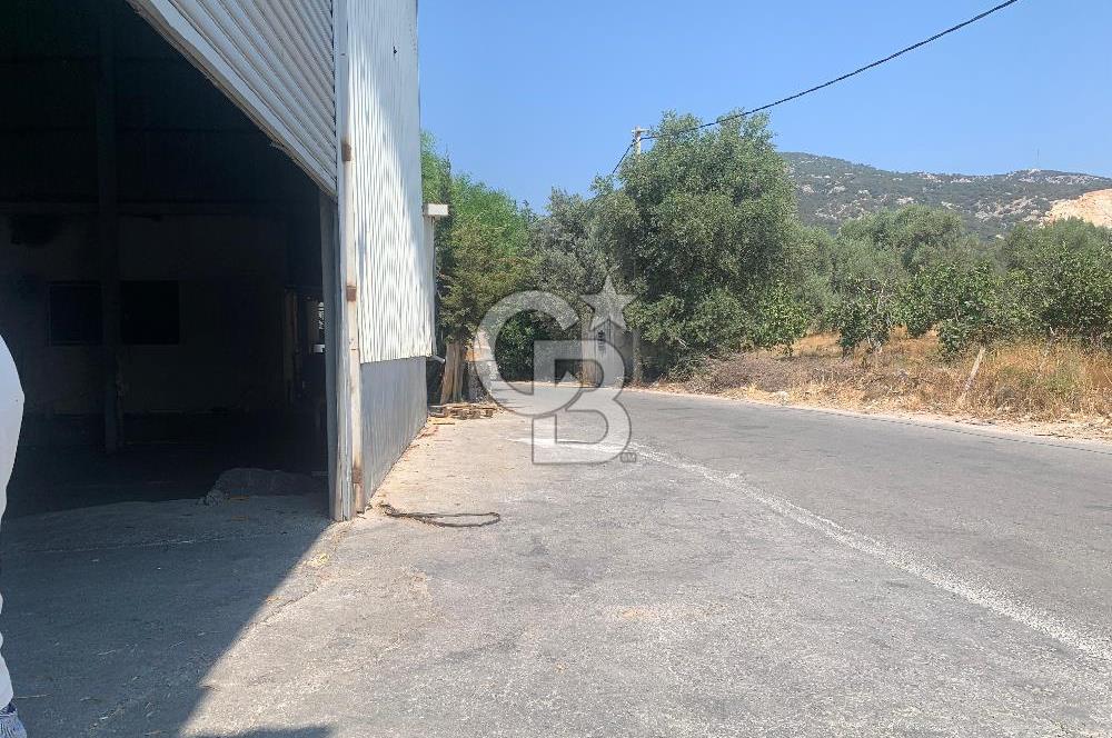 Bodrum Bitez Kiralık Depo ve İş Yerleri