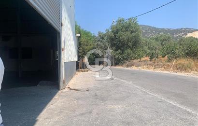 Bodrum Bitez Kiralık Depo ve İş Yerleri