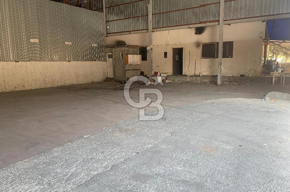 Bodrum Bitez Kiralık Depo ve İş Yerleri