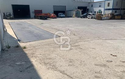 Bodrum Bitez Kiralık Depo ve İş Yerleri