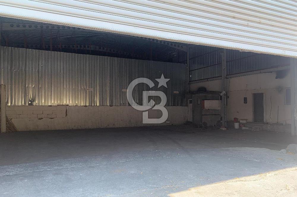 Bodrum Bitez Kiralık Depo ve İş Yerleri