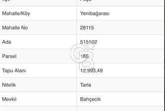Foça Yenibağarası Satılık Tarla