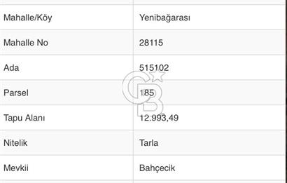 Foça Yenibağarası Satılık Tarla