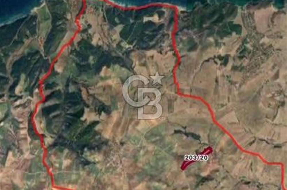 CB UNIQUE'TEN  GELİBOLU'DA YATIRIM DEĞERİ YÜKSEK TARIM ARAZİSİ
