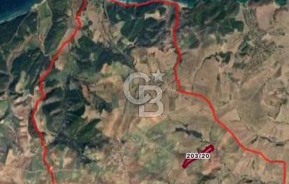 CB UNIQUE'TEN  GELİBOLU'DA YATIRIM DEĞERİ YÜKSEK TARIM ARAZİSİ