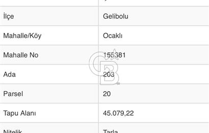 CB UNIQUE'TEN  GELİBOLU'DA YATIRIM DEĞERİ YÜKSEK TARIM ARAZİSİ