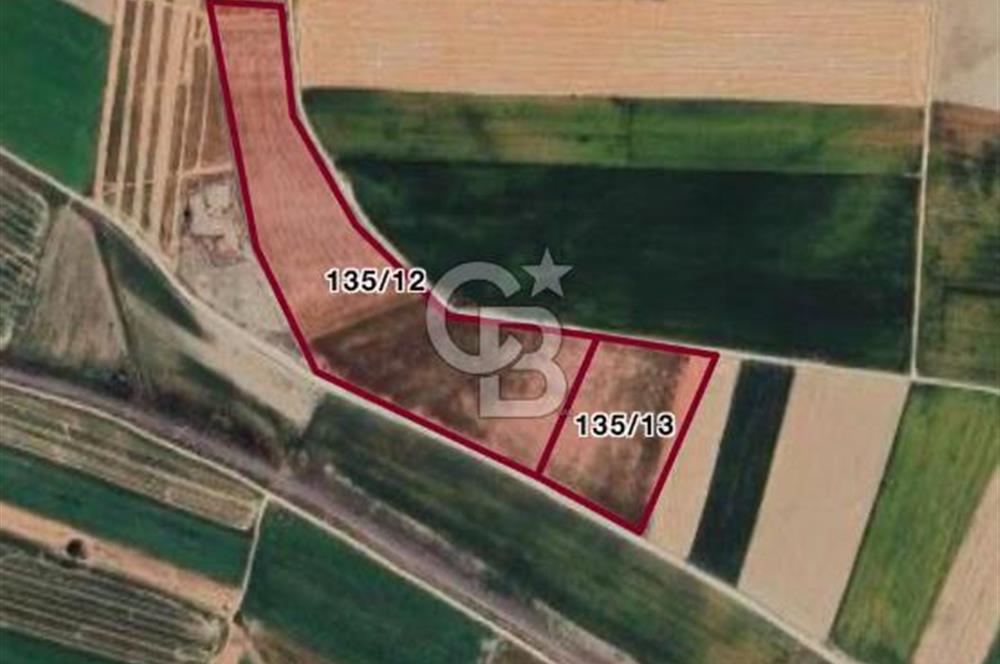 CB CITY' DEN ESKİŞEHİR BEYLİKOVA MERKEZDE SATILIK TARLA