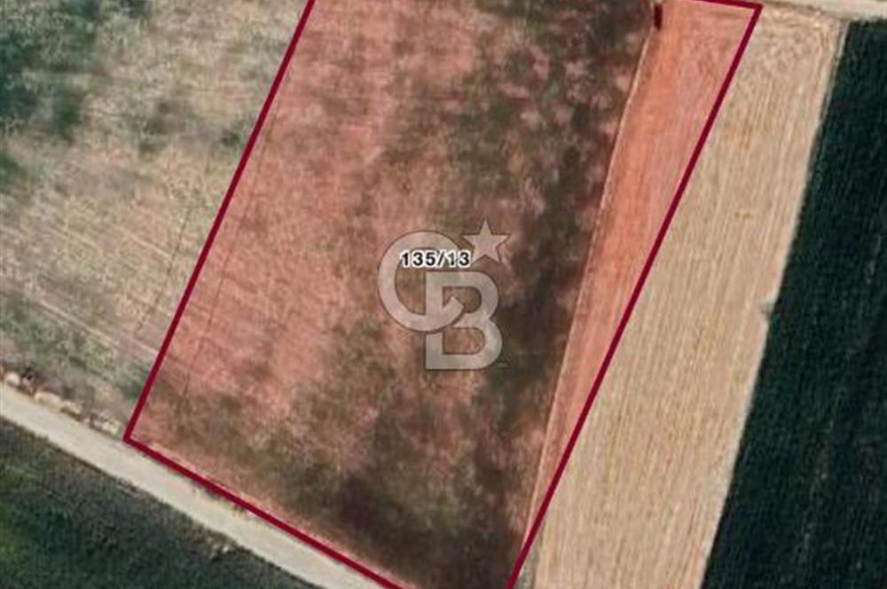 CB CITY' DEN ESKİŞEHİR BEYLİKOVA MERKEZDE SATILIK TARLA
