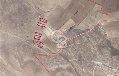 CB ENVOY'dan Çorum Merkez, Türkler Köyü 6.386m2 İmarlı Arsa