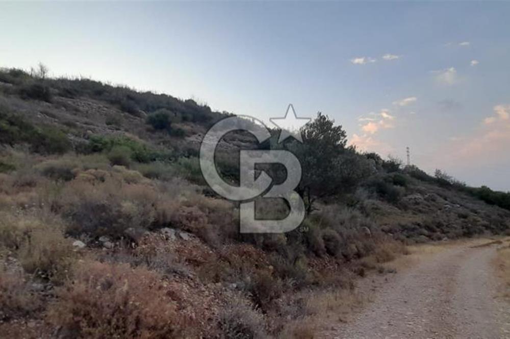 Karaburun Bozköy Mahallesinde 5240 m2 Satılık Tarla