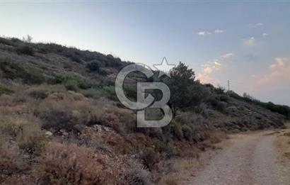 Karaburun Bozköy Mahallesinde 5240 m2 Satılık Tarla
