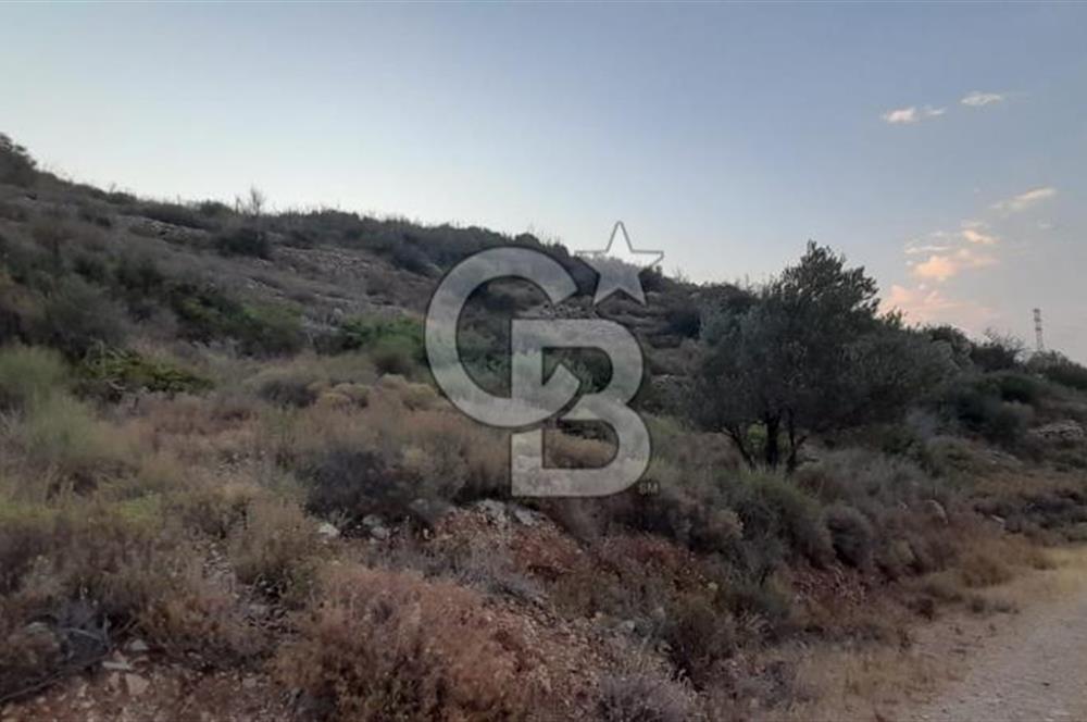 Karaburun Bozköy Mahallesinde 5240 m2 Satılık Tarla