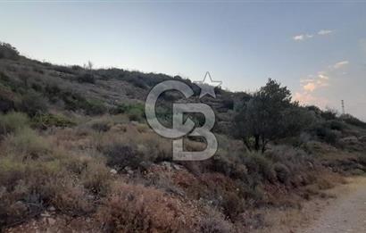 Karaburun Bozköy Mahallesinde 5240 m2 Satılık Tarla