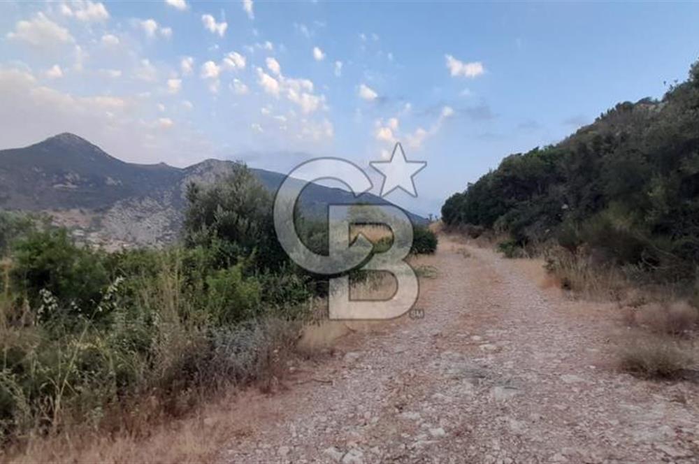 Karaburun Bozköy Mahallesinde 5240 m2 Satılık Tarla