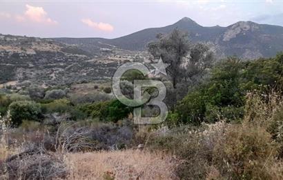 Karaburun Bozköy Mahallesinde 5240 m2 Satılık Tarla
