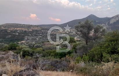 Karaburun Bozköy Mahallesinde 5240 m2 Satılık Tarla