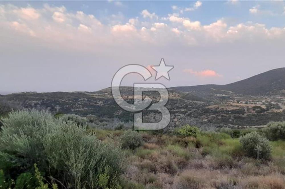Karaburun Bozköy Mahallesinde 5240 m2 Satılık Tarla