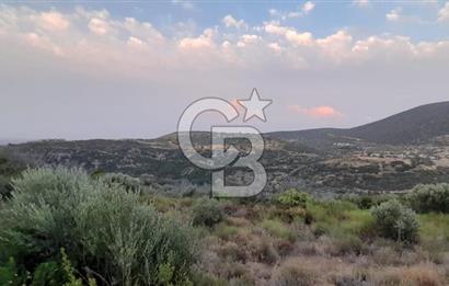 Karaburun Bozköy Mahallesinde 5240 m2 Satılık Tarla