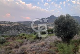 Karaburun Bozköy Mahallesinde 5240 m2 Satılık Tarla
