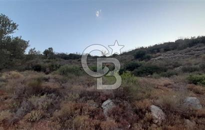 Karaburun Bozköy Mahallesinde 5240 m2 Satılık Tarla