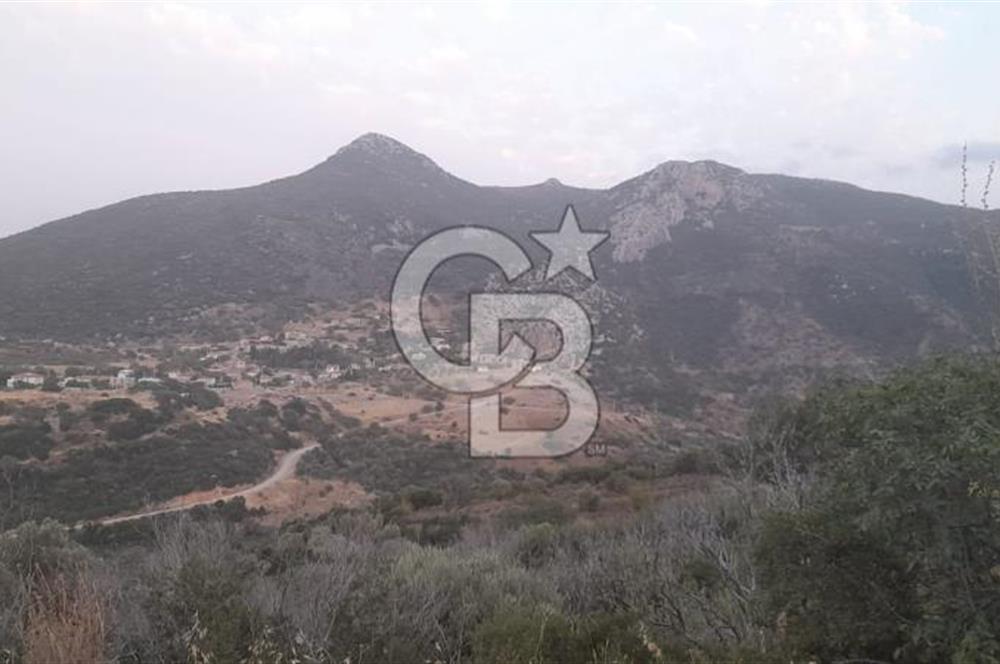 Karaburun Bozköy Mahallesinde 5240 m2 Satılık Tarla