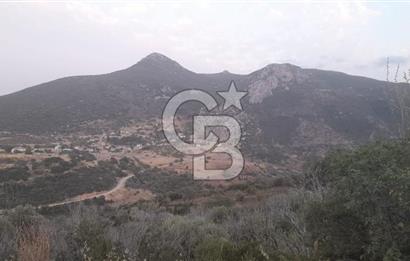 Karaburun Bozköy Mahallesinde 5240 m2 Satılık Tarla