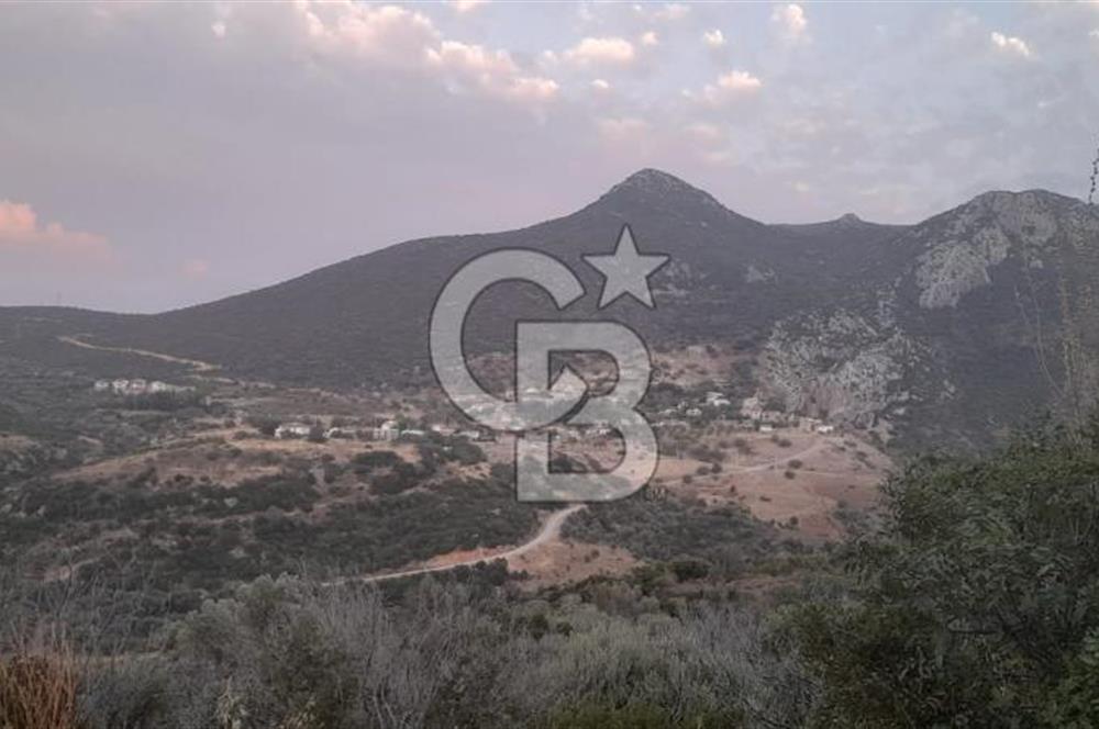 Karaburun Bozköy Mahallesinde 5240 m2 Satılık Tarla