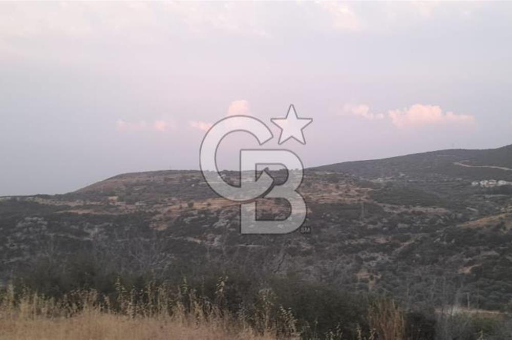Karaburun Bozköy Mahallesinde 5240 m2 Satılık Tarla