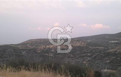 Karaburun Bozköy Mahallesinde 5240 m2 Satılık Tarla
