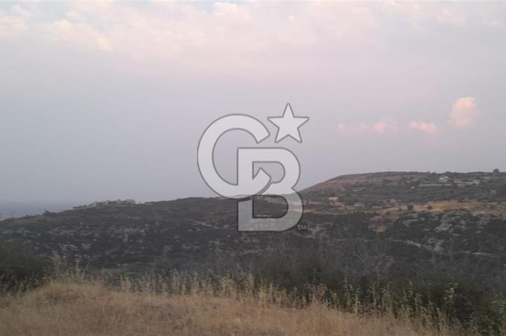 Karaburun Bozköy Mahallesinde 5240 m2 Satılık Tarla