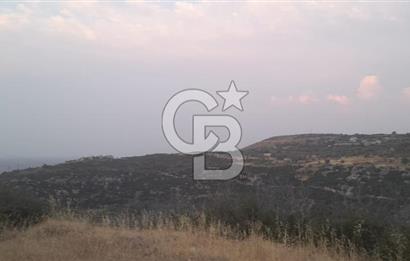 Karaburun Bozköy Mahallesinde 5240 m2 Satılık Tarla