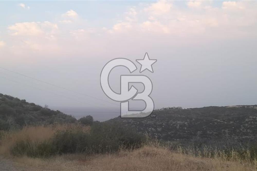 Karaburun Bozköy Mahallesinde 5240 m2 Satılık Tarla