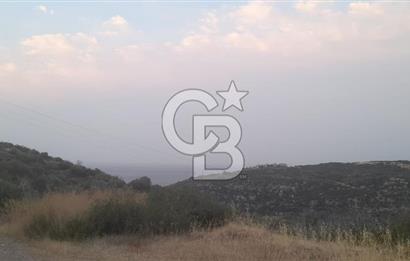 Karaburun Bozköy Mahallesinde 5240 m2 Satılık Tarla
