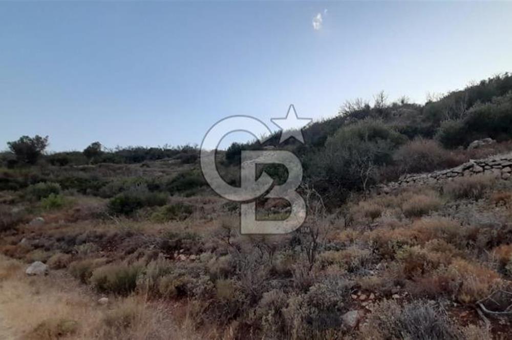 Karaburun Bozköy Mahallesinde 5240 m2 Satılık Tarla