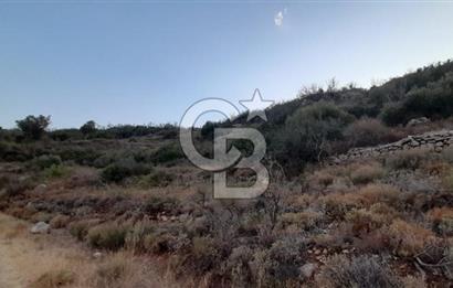 Karaburun Bozköy Mahallesinde 5240 m2 Satılık Tarla