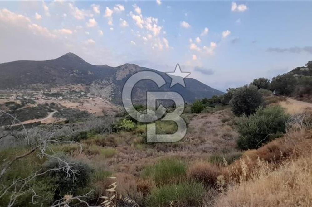 Karaburun Bozköy Mahallesinde 5240 m2 Satılık Tarla