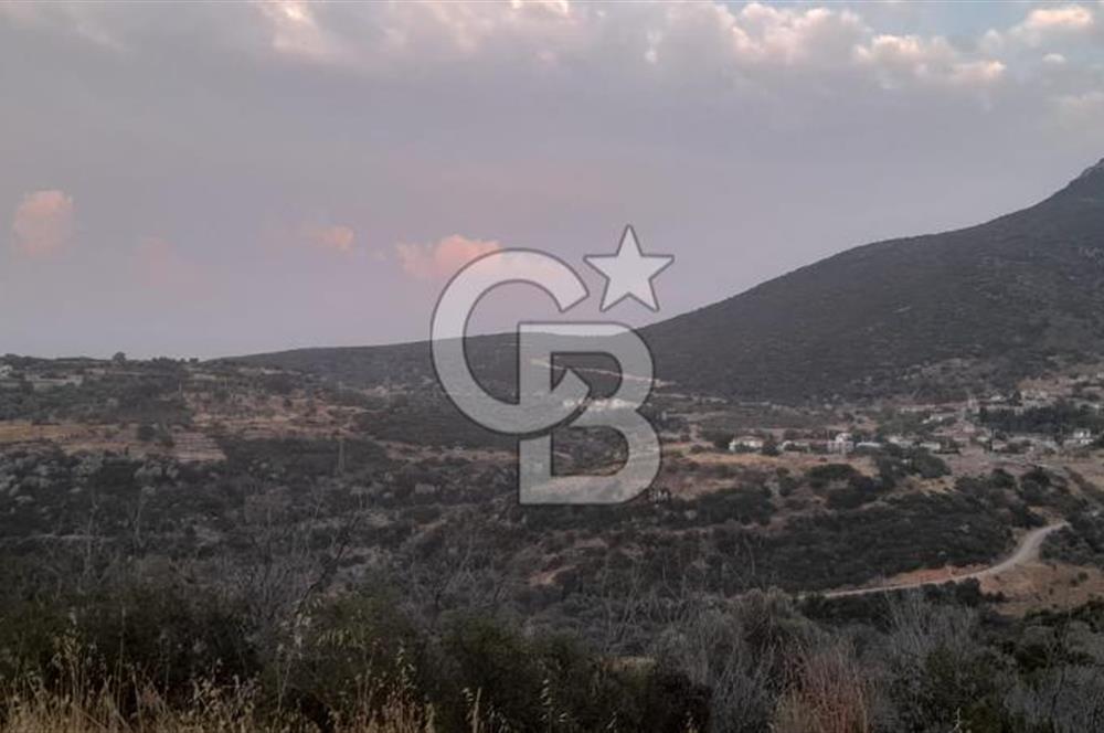 Karaburun Bozköy Mahallesinde 5240 m2 Satılık Tarla
