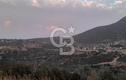 Karaburun Bozköy Mahallesinde 5240 m2 Satılık Tarla