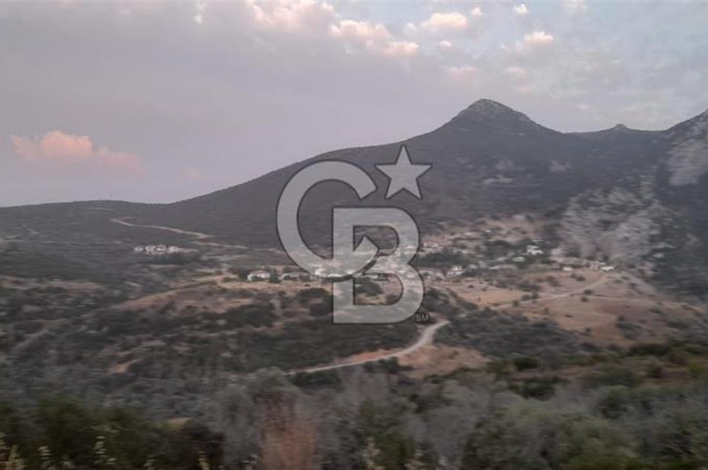 Karaburun Bozköy Mahallesinde 5240 m2 Satılık Tarla