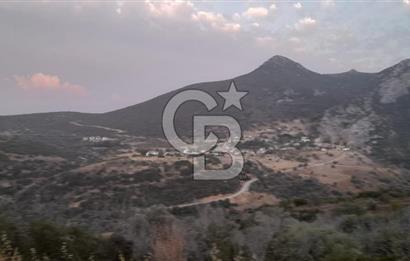 Karaburun Bozköy Mahallesinde 5240 m2 Satılık Tarla
