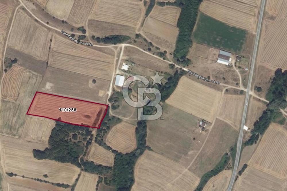 Kırklareli, Pınarhisar, İslambeyli'de Yatırım Fırsatı. Satılık 12.901m² Tarla